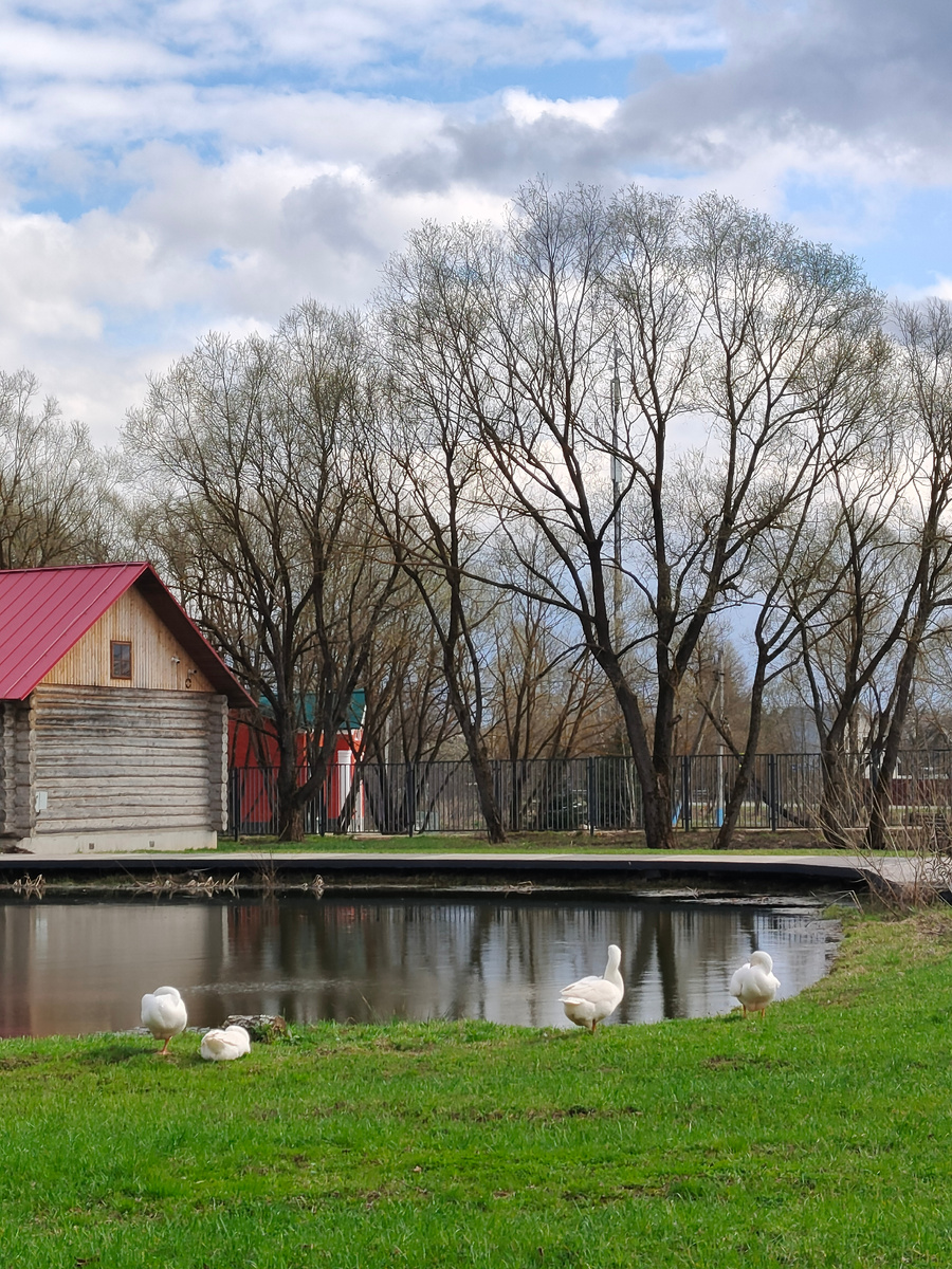 Фото автора.