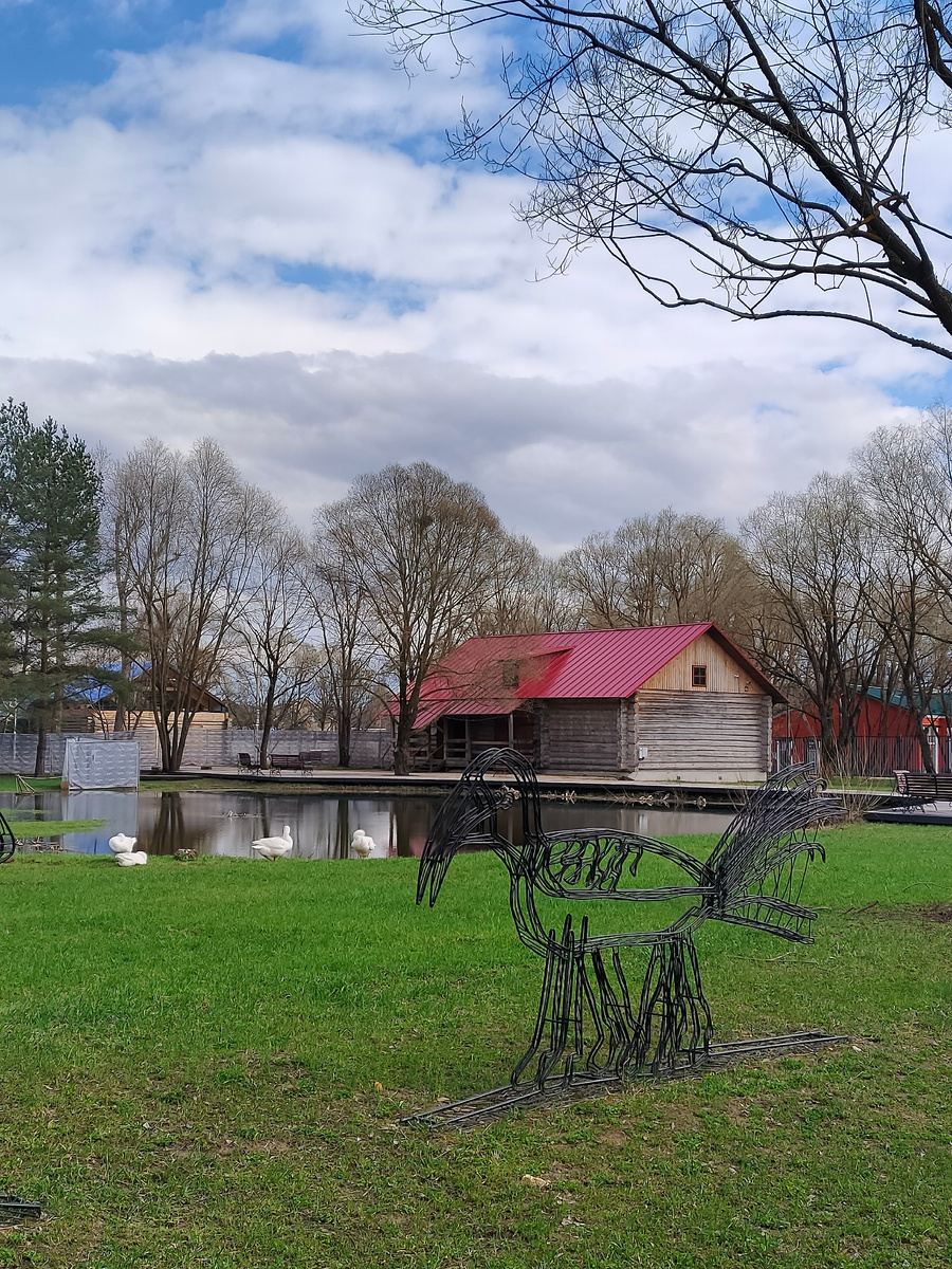 Фото автора.