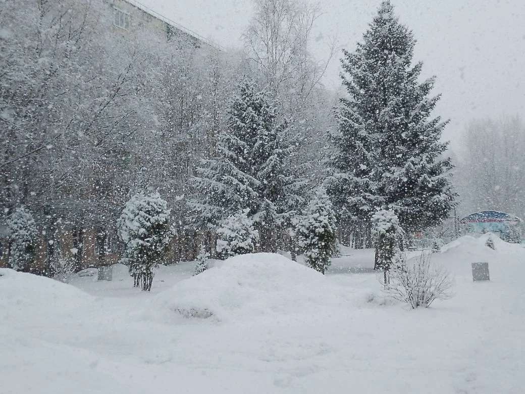 Фото мужа автора. 