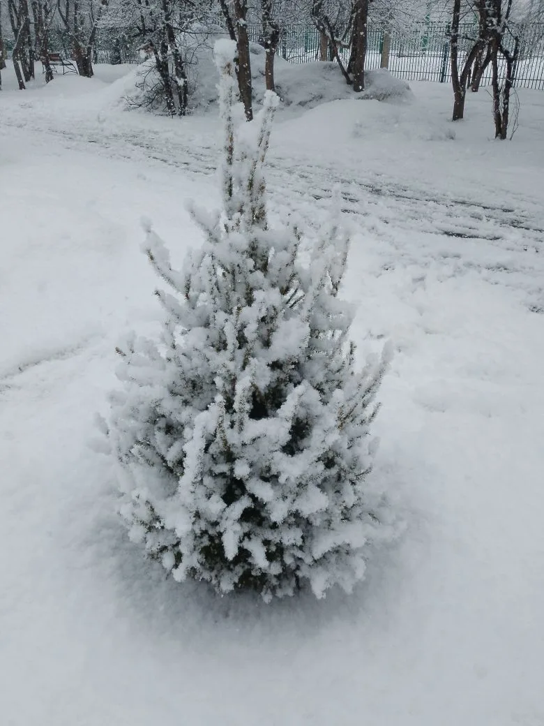 Фото мужа автора. 