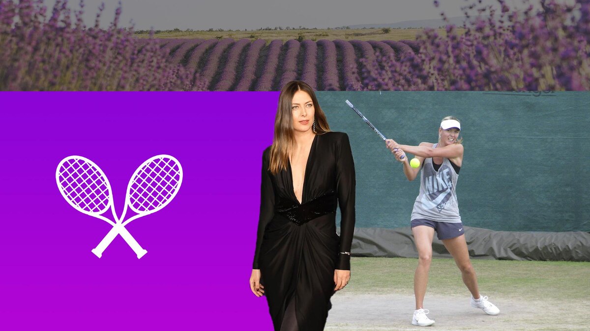 Коллаж 78.ru: СПОРТ-ЭКСПРЕСС/Спорт-Экспресс, соцсети, ru.freepik.com, pngwing.com