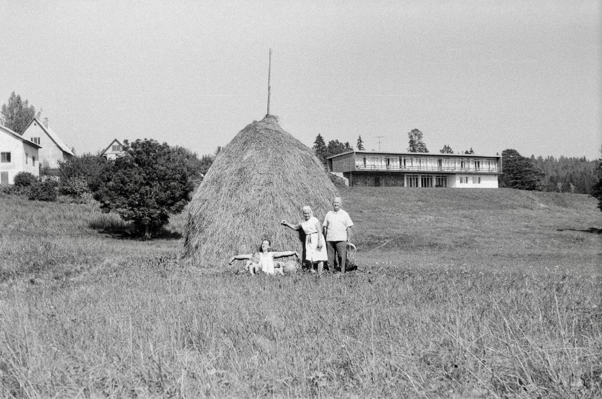 Эстонская деревня - 80-е годы прошлого века