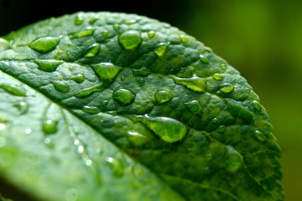 Glowstone90 Djame/Shutterstock/FOTODOM   📷