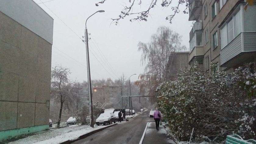    Из архива редакции