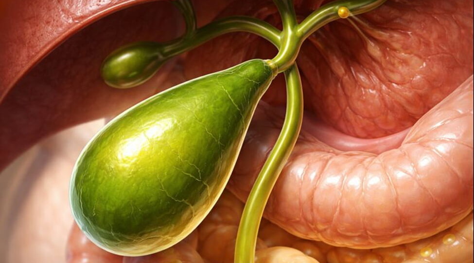 Какие последствия для желчного пузыря и здоровья от употребления алкоголя?!