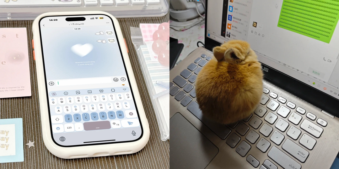 Какие мессенджеры работают, когда всё заблокировано: WeChat, KakaoTalk или LINE?