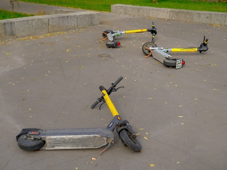     © Фото: ИД «Волгоградская правда» / архив