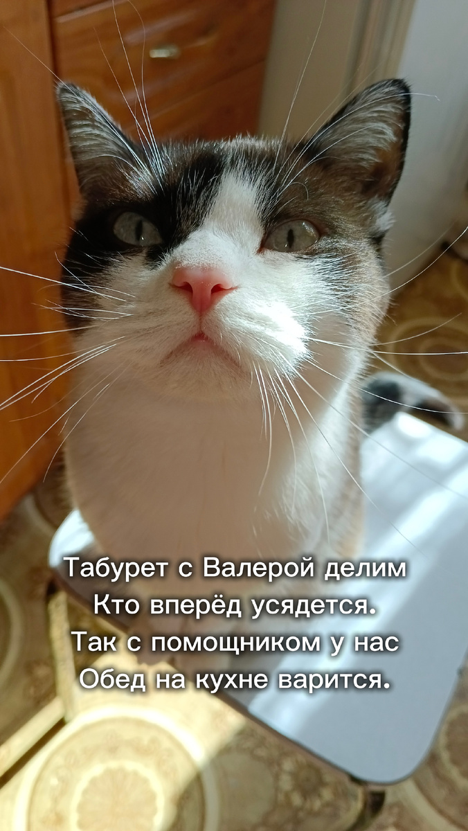 Без Валеры никакого обеда 😸