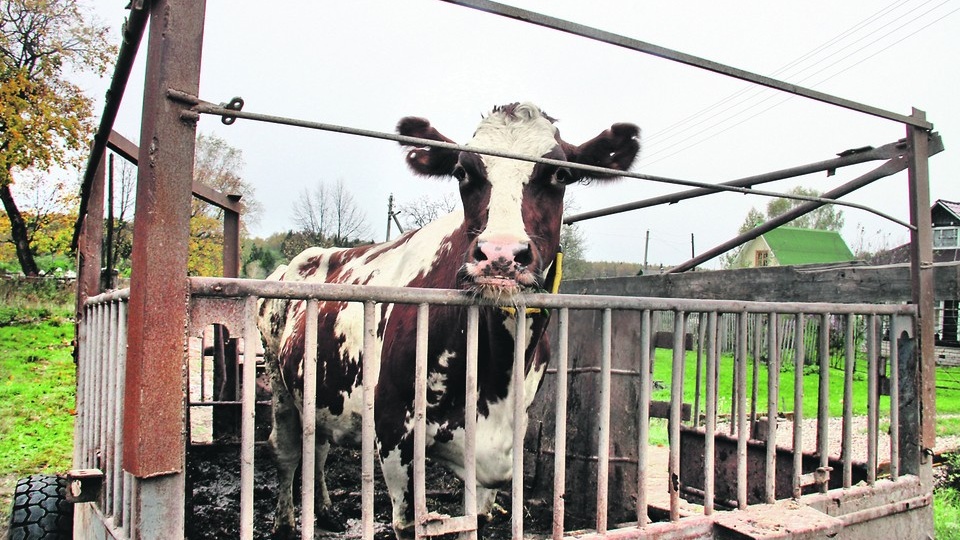 Наш общий вклад: В Запорожской области укрепляют продовольственную безопасность