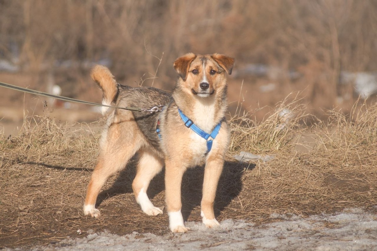Я буду очень стараться!