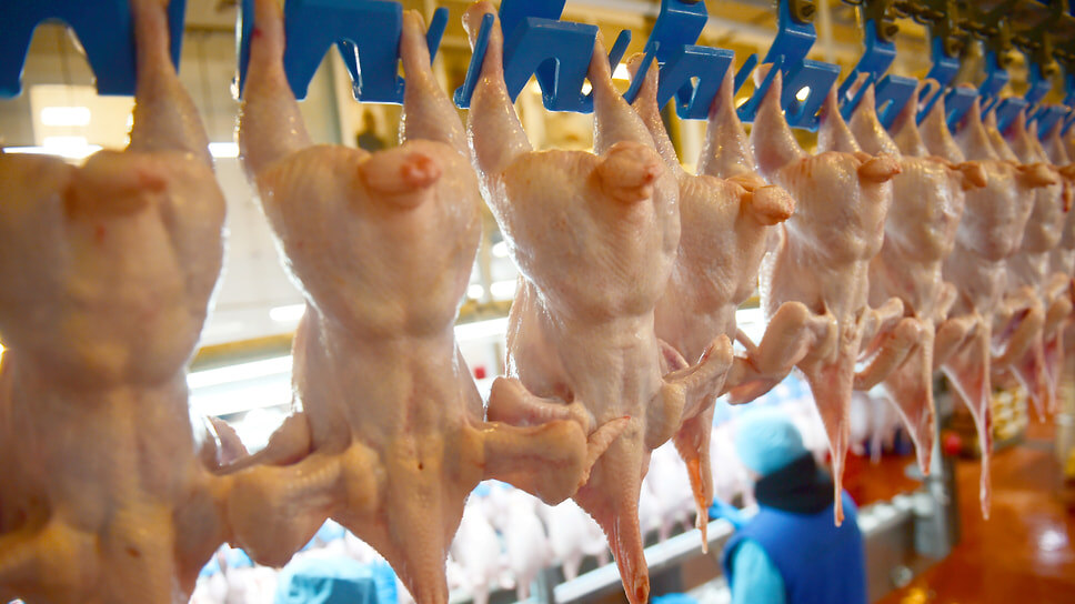 Фото: Влад Некрасов / Коммерсантъ