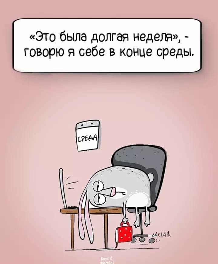 Юмор