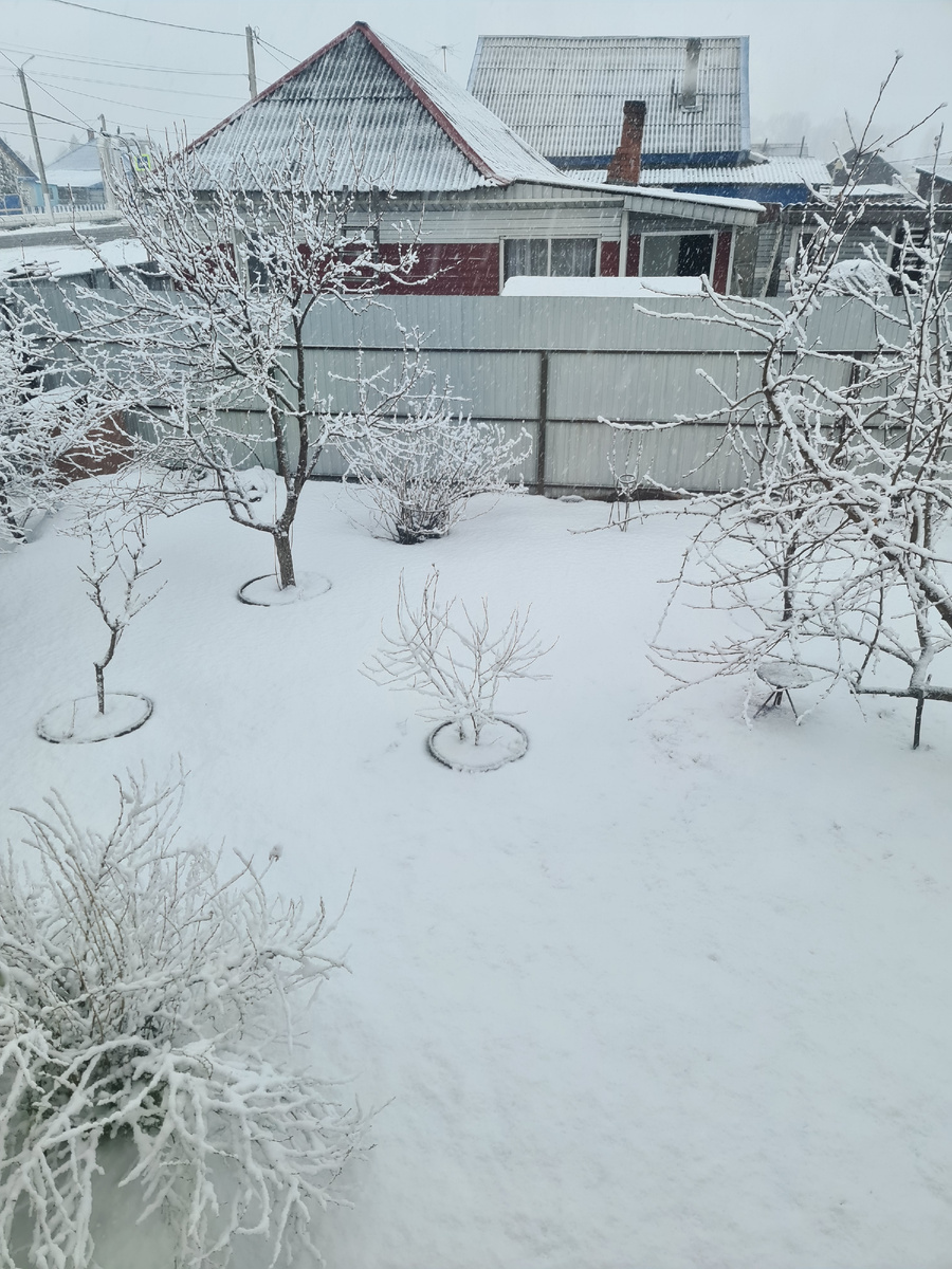 19 апреля 2026г. Вид из окна спальни на сад