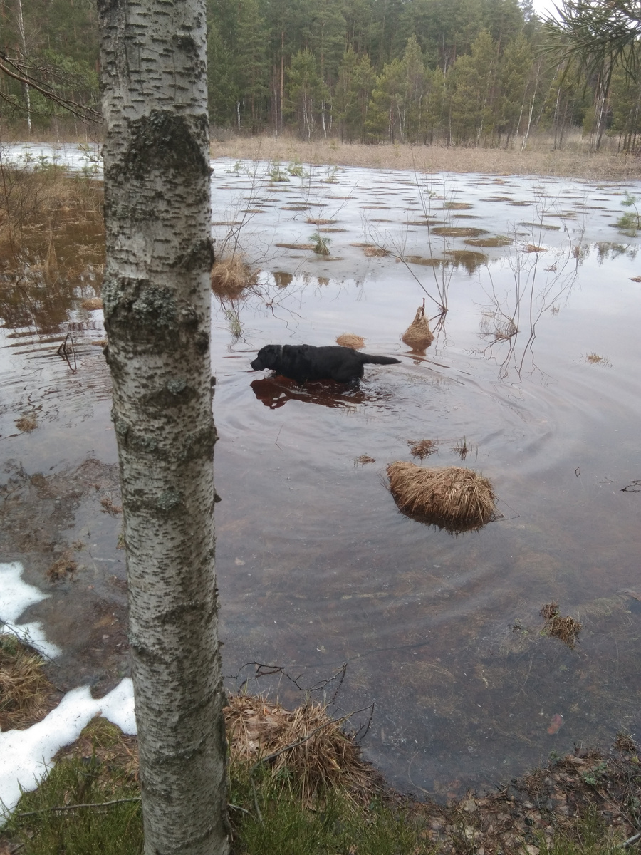 Фото автора. Купальный сезон открыт!