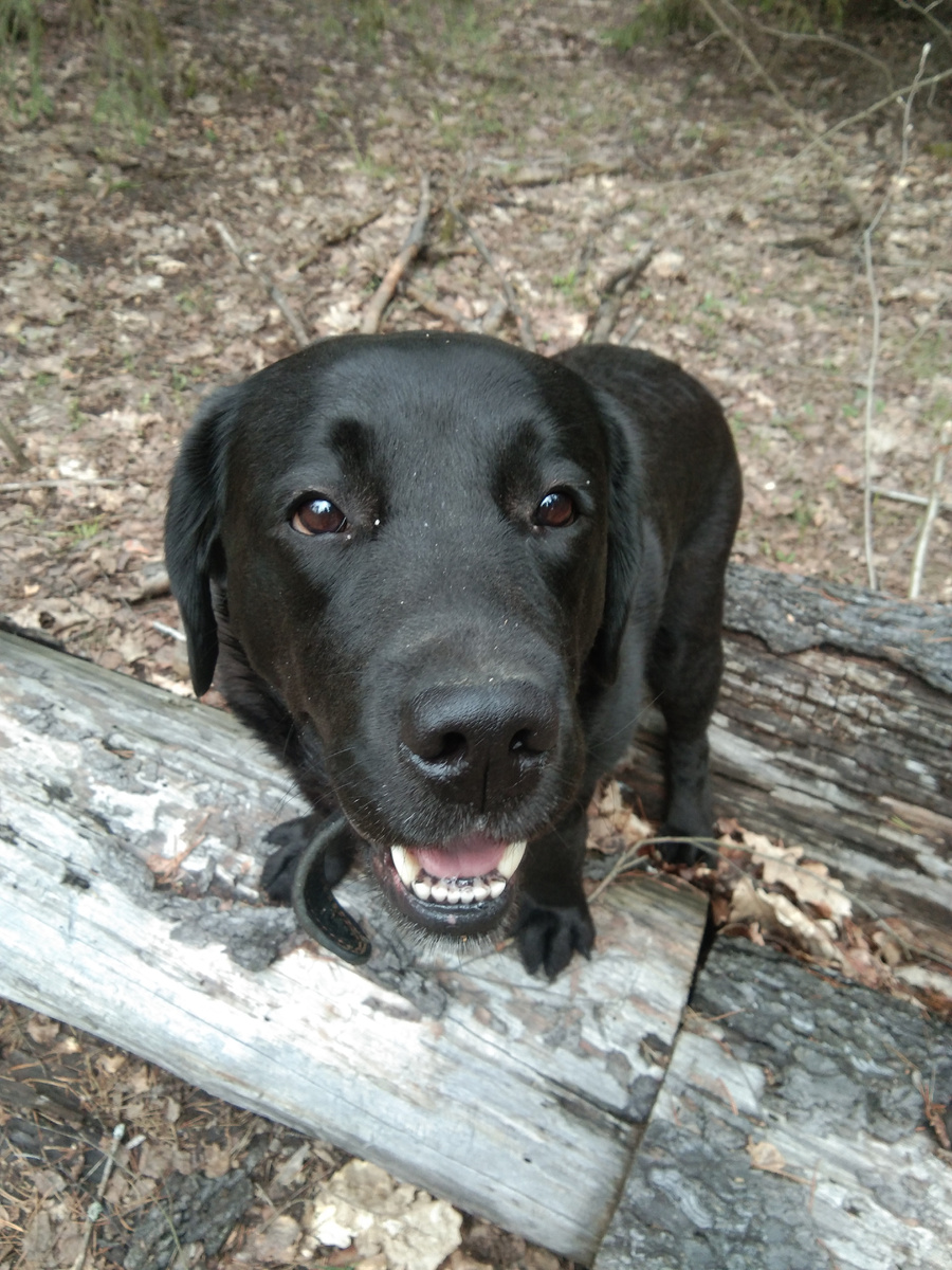 Фото автора. 