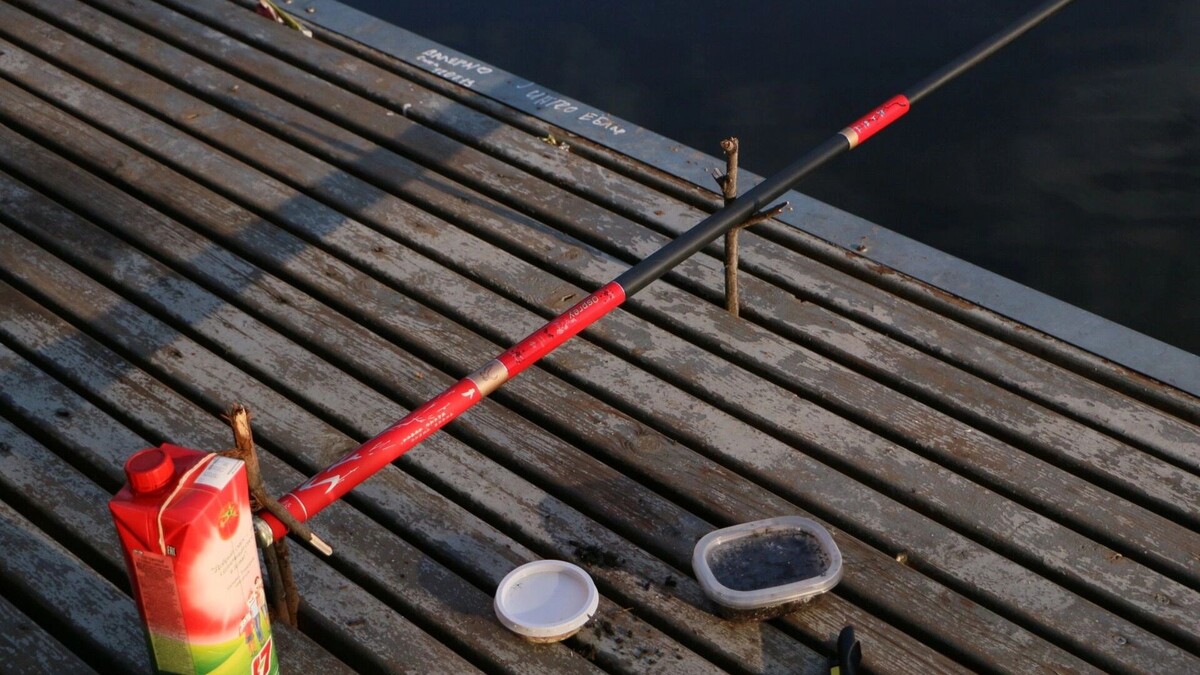    Где и на что ловить в апреле? Ростовский рыбак раскрыл секрет хорошего улова   1MI