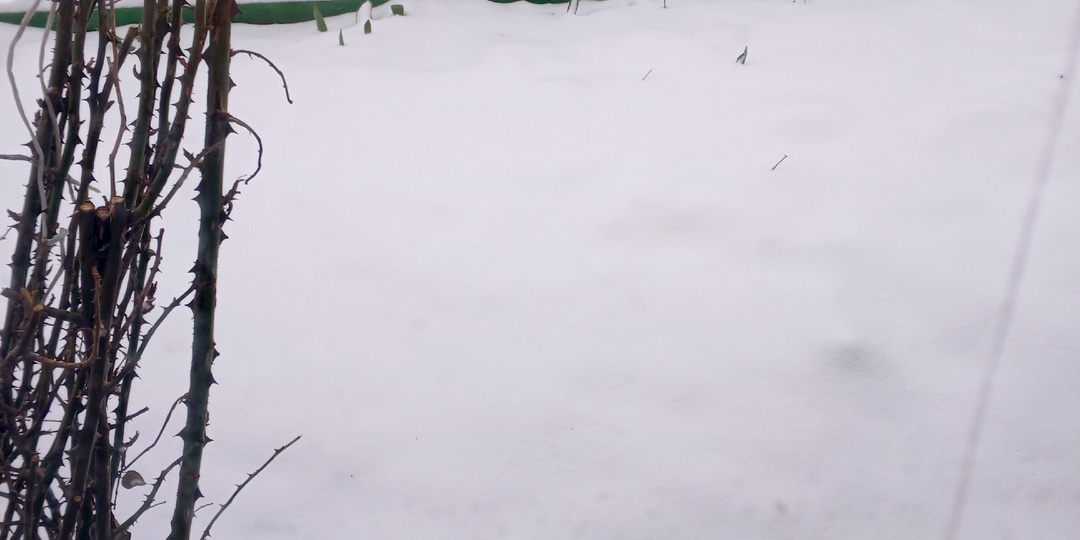 К нам на УРАЛ вернулась зима!