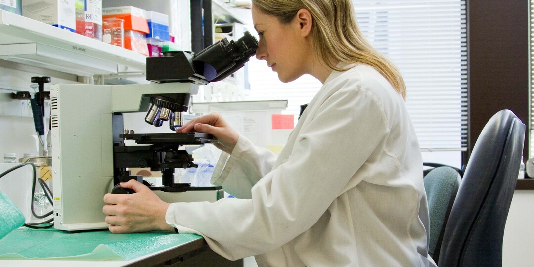 Больше месяца в Минске можно будет бесплатно сдать анализы на гепатит и не только