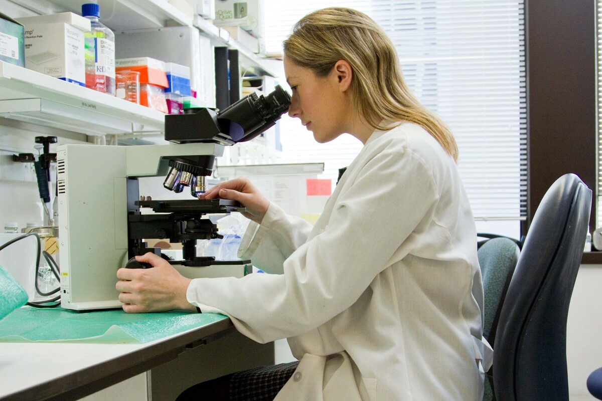  Фото: National Cancer Institute, Unsplash