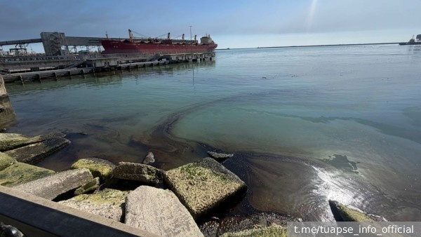     Фото: t.me/tuapse_info_official   
 Текст: Дарья Григоренко