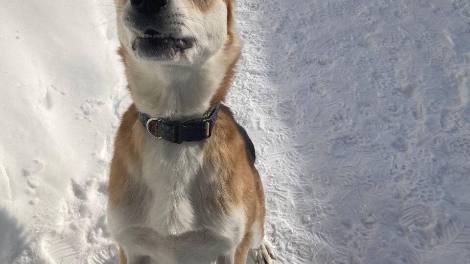 Знакомьтесь, это Тихон