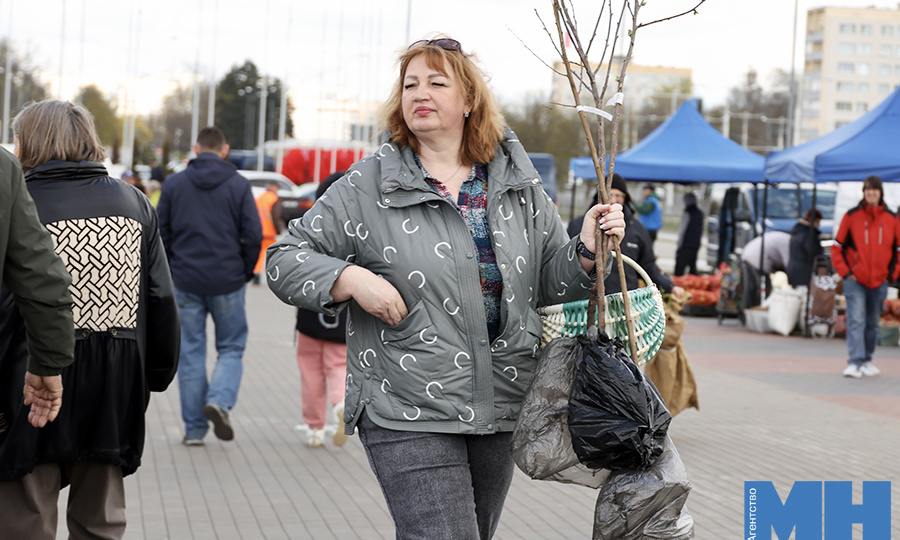 Ярмарка у «Чижовка-Арены» предлагает рассаду и свежие овощи: посмотрели ассортимент и цены