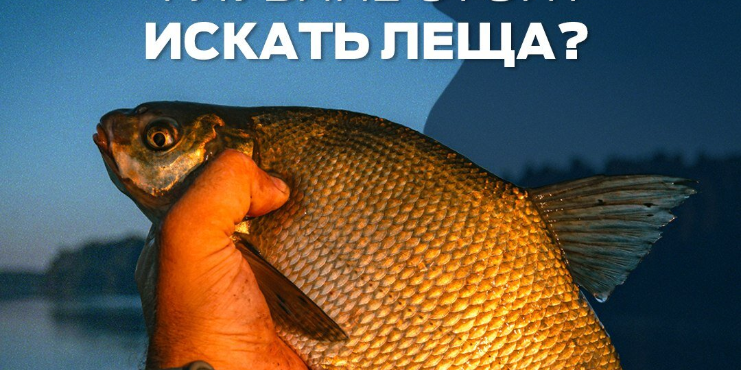 На какой глубине искать леща весной