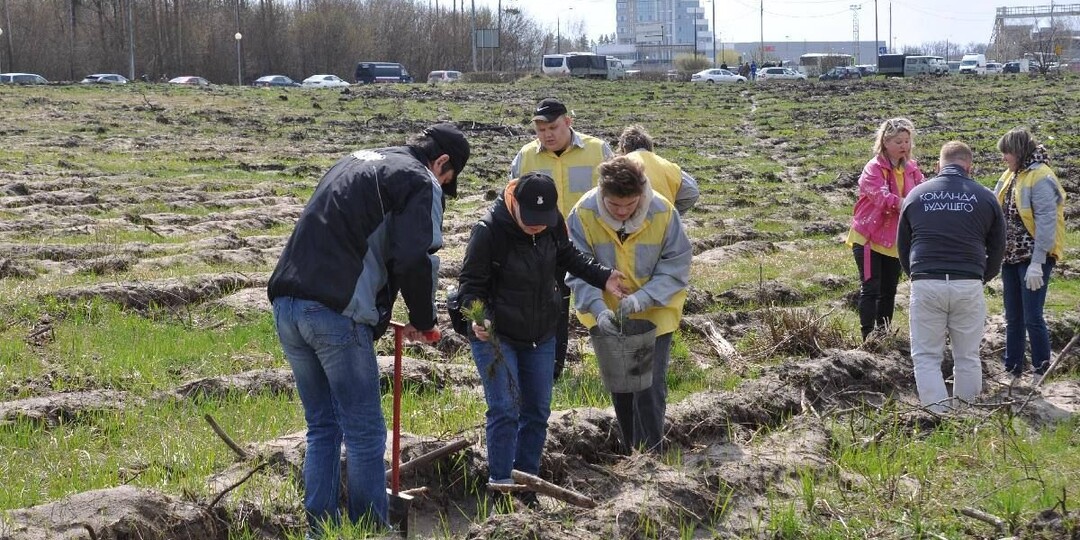 В Грязинском округе Липецкой области высадили 10 тысяч сосен в рамках акции "Сад памяти"