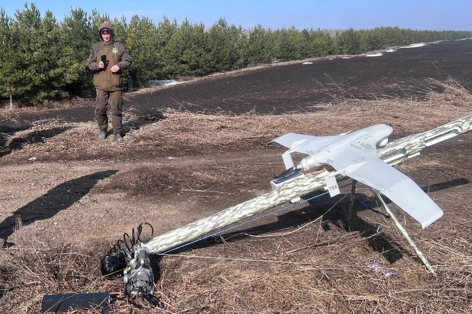 Фото: предоставлено комитетом по биоресурсам Татарстана