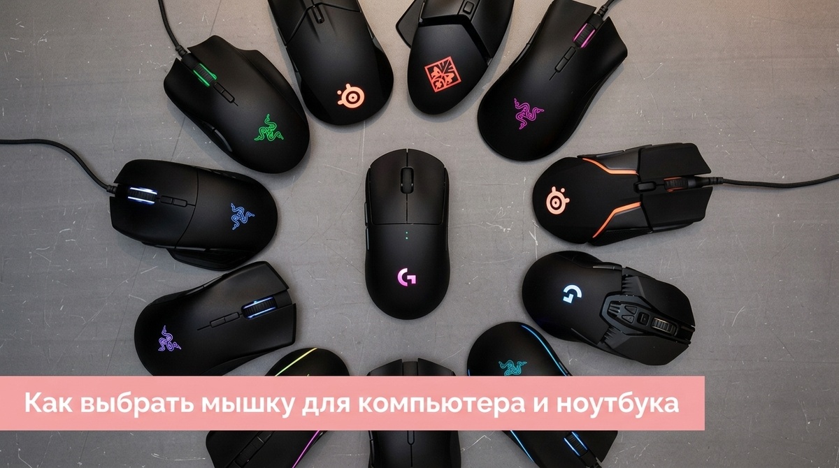 Купить аксессуары для игрового и бизнес-ноутбука