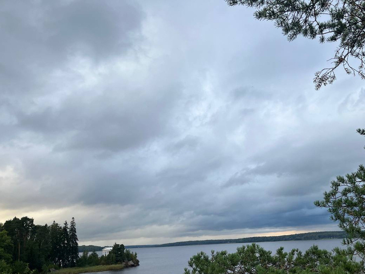     фото: архив мк в Мурманске.