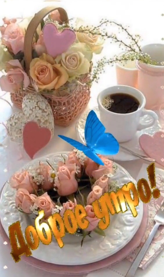 Скрин сделан автором канала