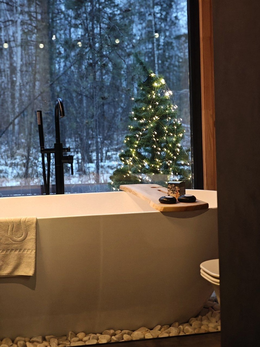 «Место в лесу» — перезагрузка с видом на звёзды