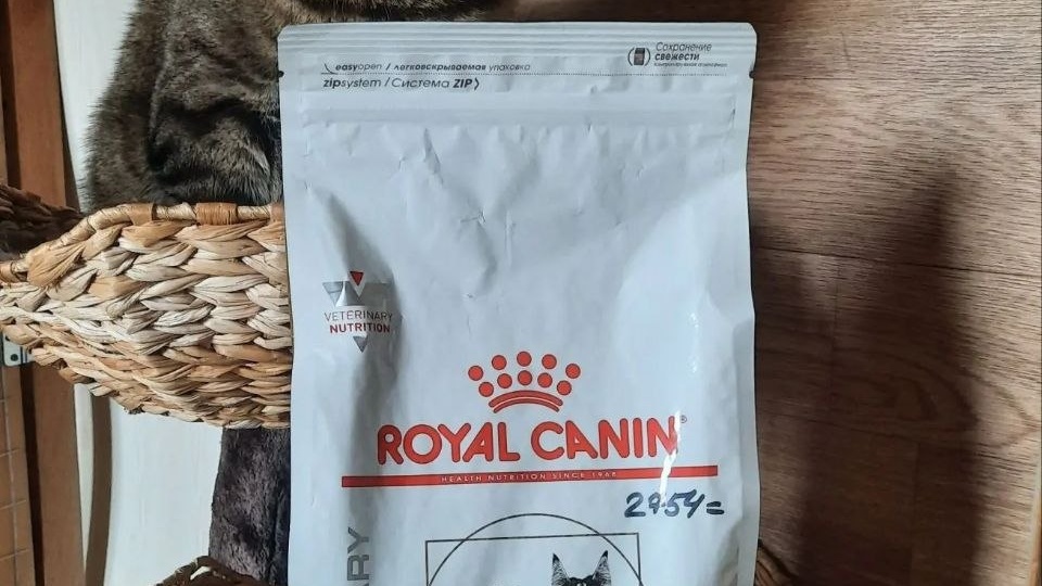 Андрейке и Баффи приобрели корма по спецдиетам, прописанным по ветеринарным показаниям