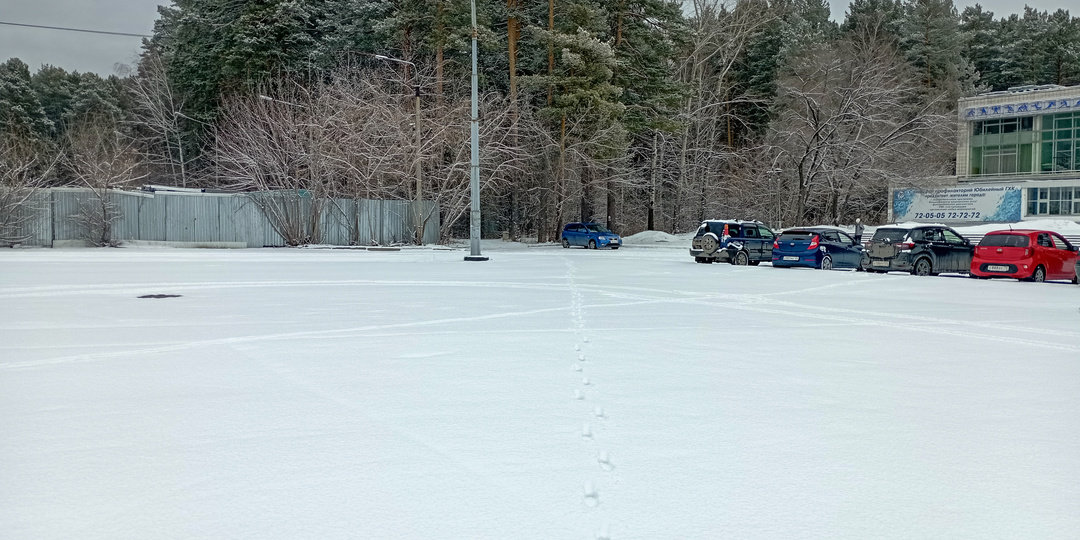 Снежный привет под конец апреля