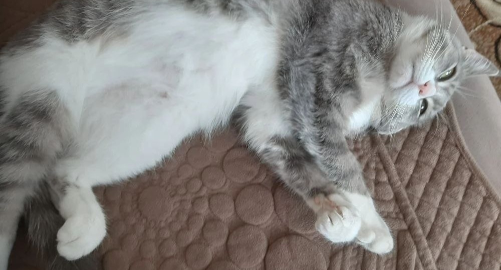 Привет из дома от Кирочки