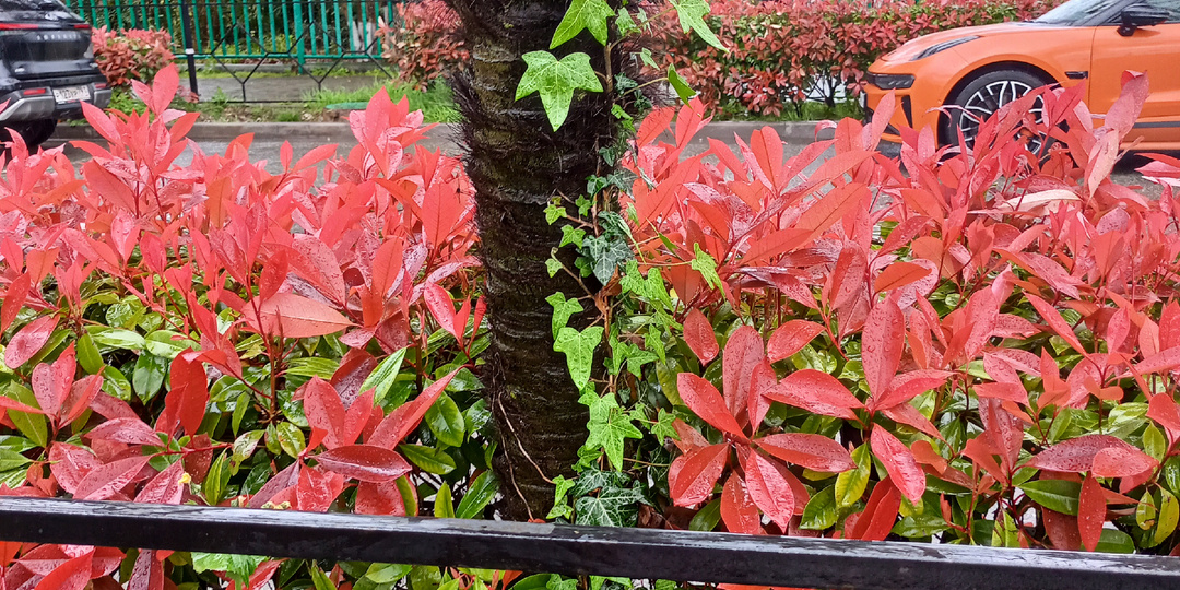 19 апреля. Циклоническая депрессия в Адлере...