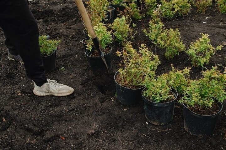 Пензенцев предупредили об опасности раннего открытия дачного сезона