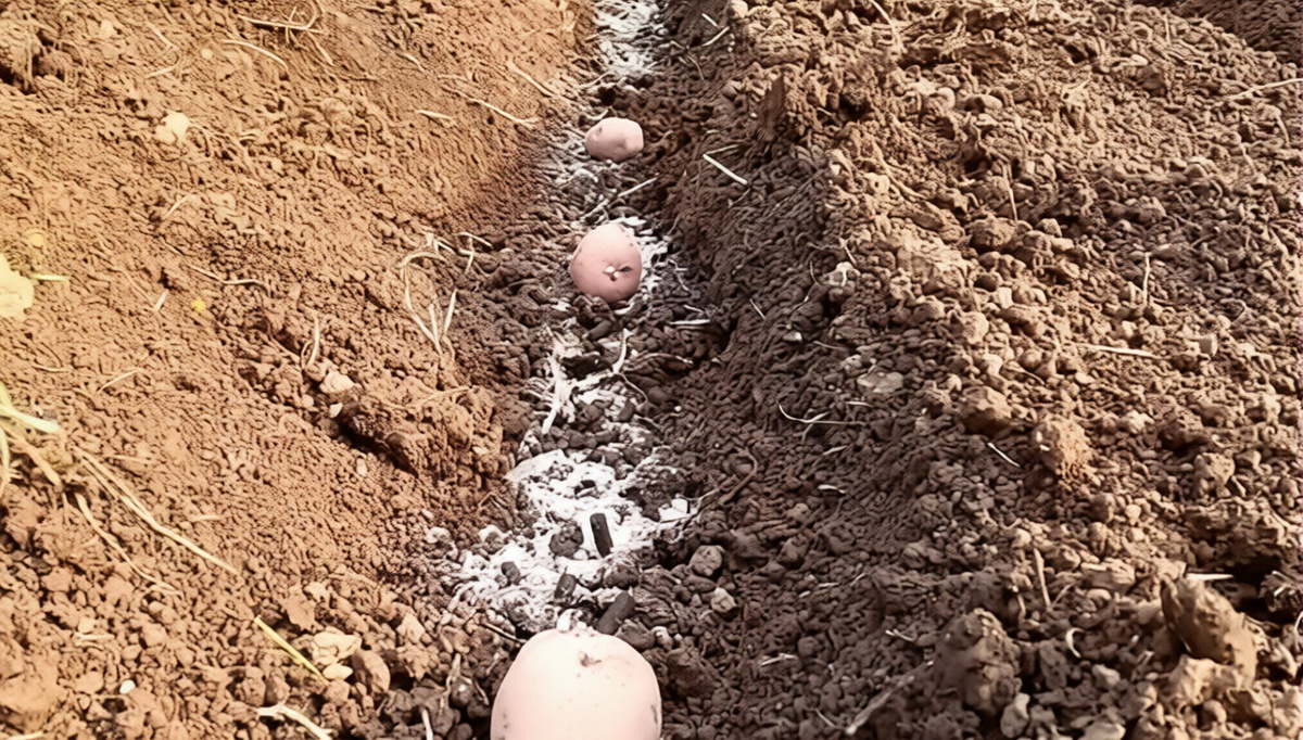 Фото автора.