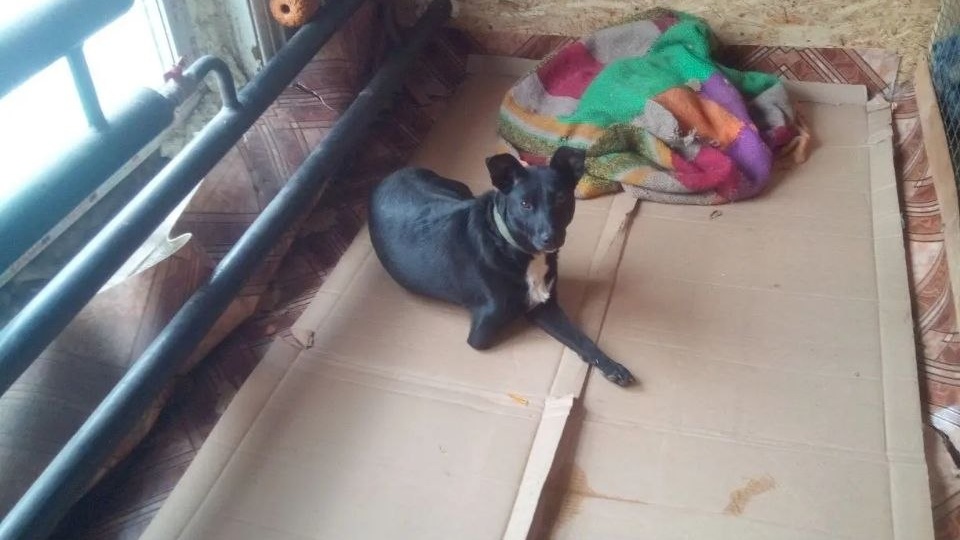 На станции сегодня у всех воскресенье