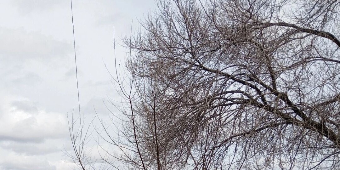 Непогода и русалки: что готовит Хабаровску 20 апреля