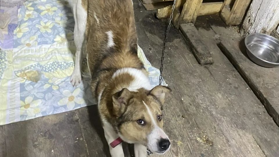 Ну и всё на сегодня! Всем отдыхать