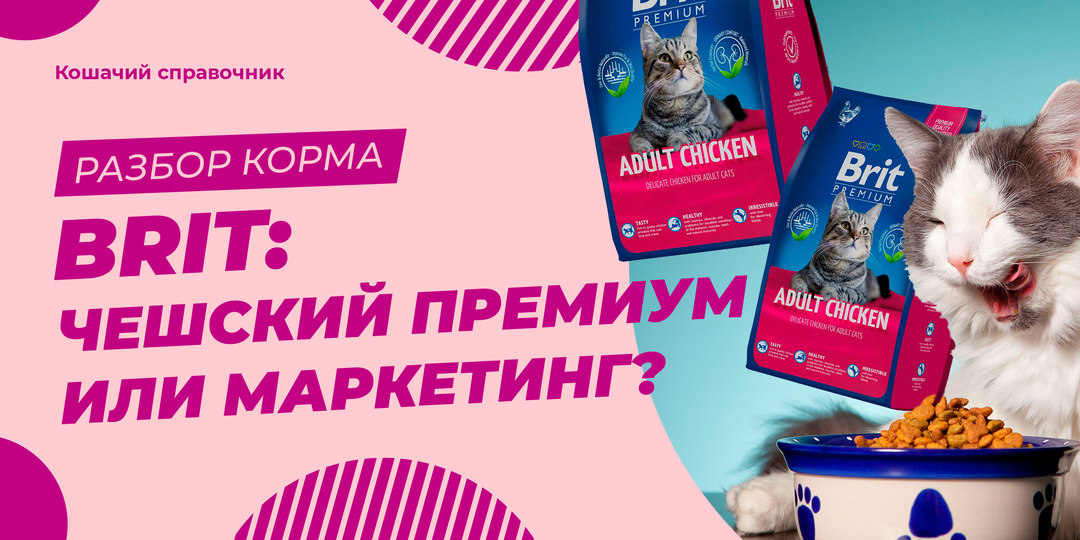 Brit для кошек: чешский премиум или маркетинг? Разбираю состав