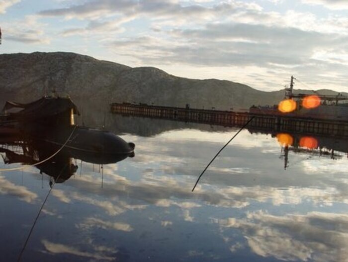 Фото автора.