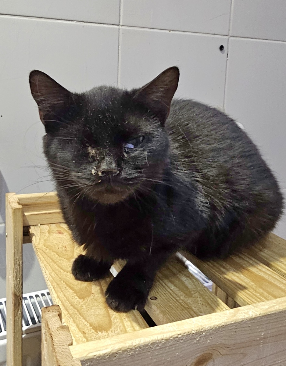 Фото автора. Ева оооооочень хочет жить.