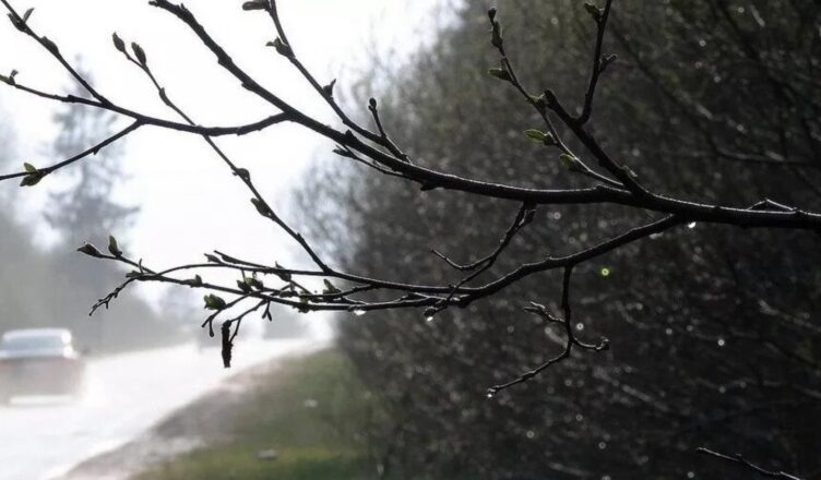 В Костромской области резко усилится ветер