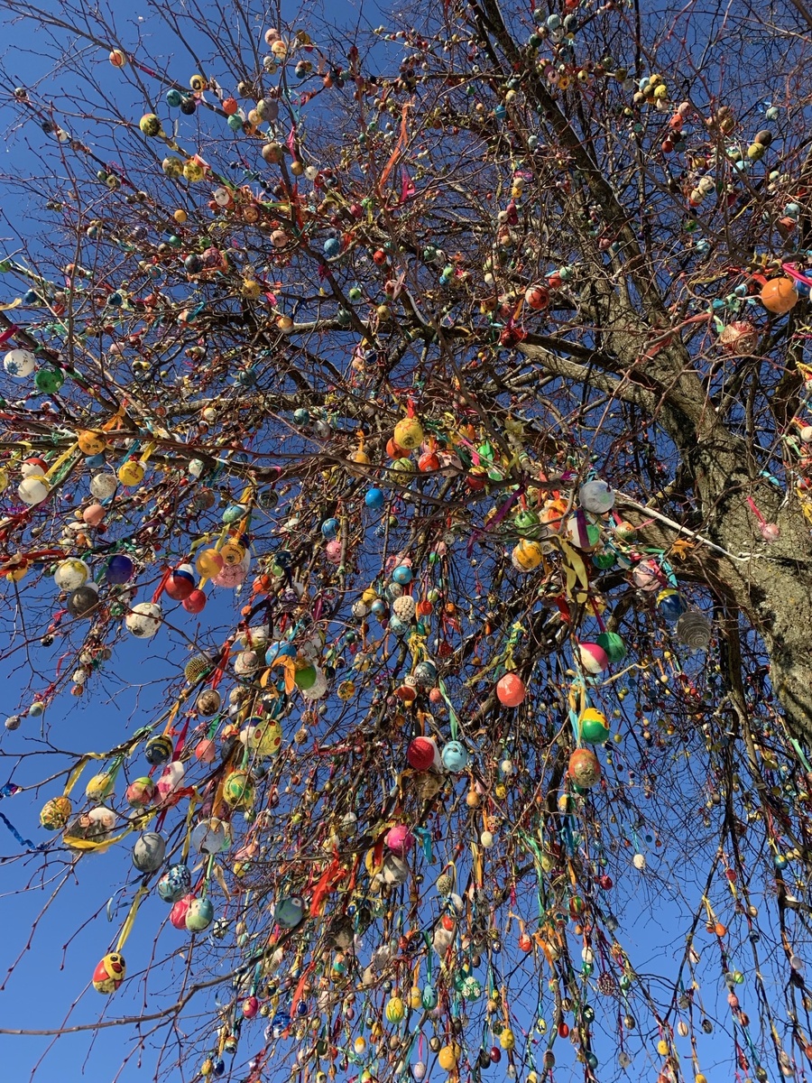 Каждый год 10000 заготовок раздают желающим принять участие в украшении Пасхального дерева