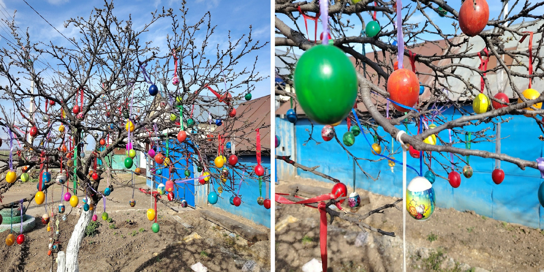 В саратовском райцентре на дереве «расцвели» яйца