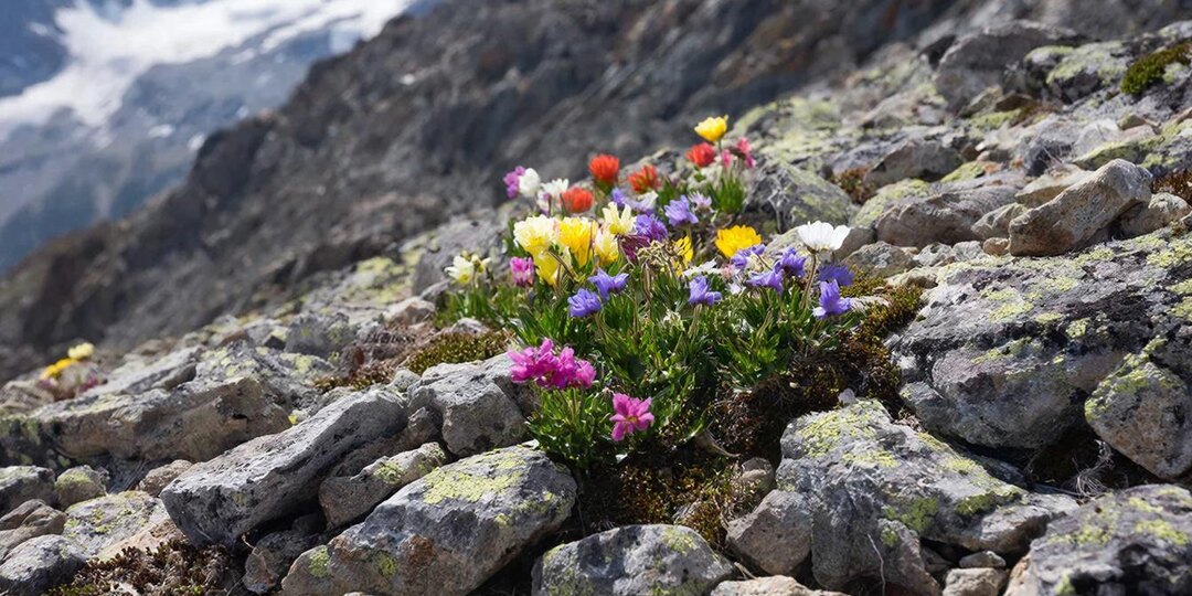 ПРОГНОЗ НА ПОНЕДЕЛЬНИК 20 АПРЕЛЯ