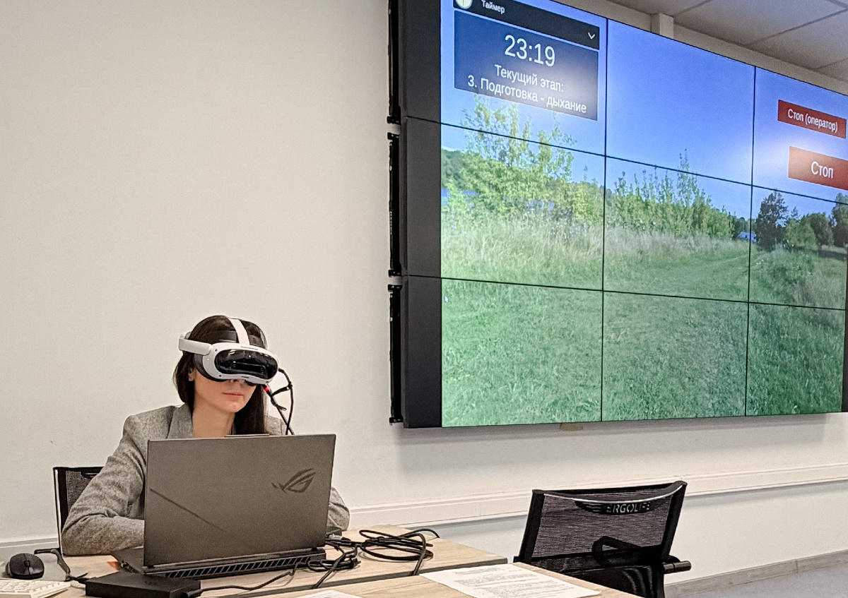 Программное обеспечение "Ментальный мост" - инструмент для проведения VR-психотерапии